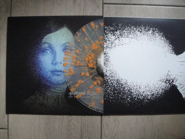 Portrayal Of Guilt – Let Pain Be Your Guide LP Holy Roar Records – HRR266V UK