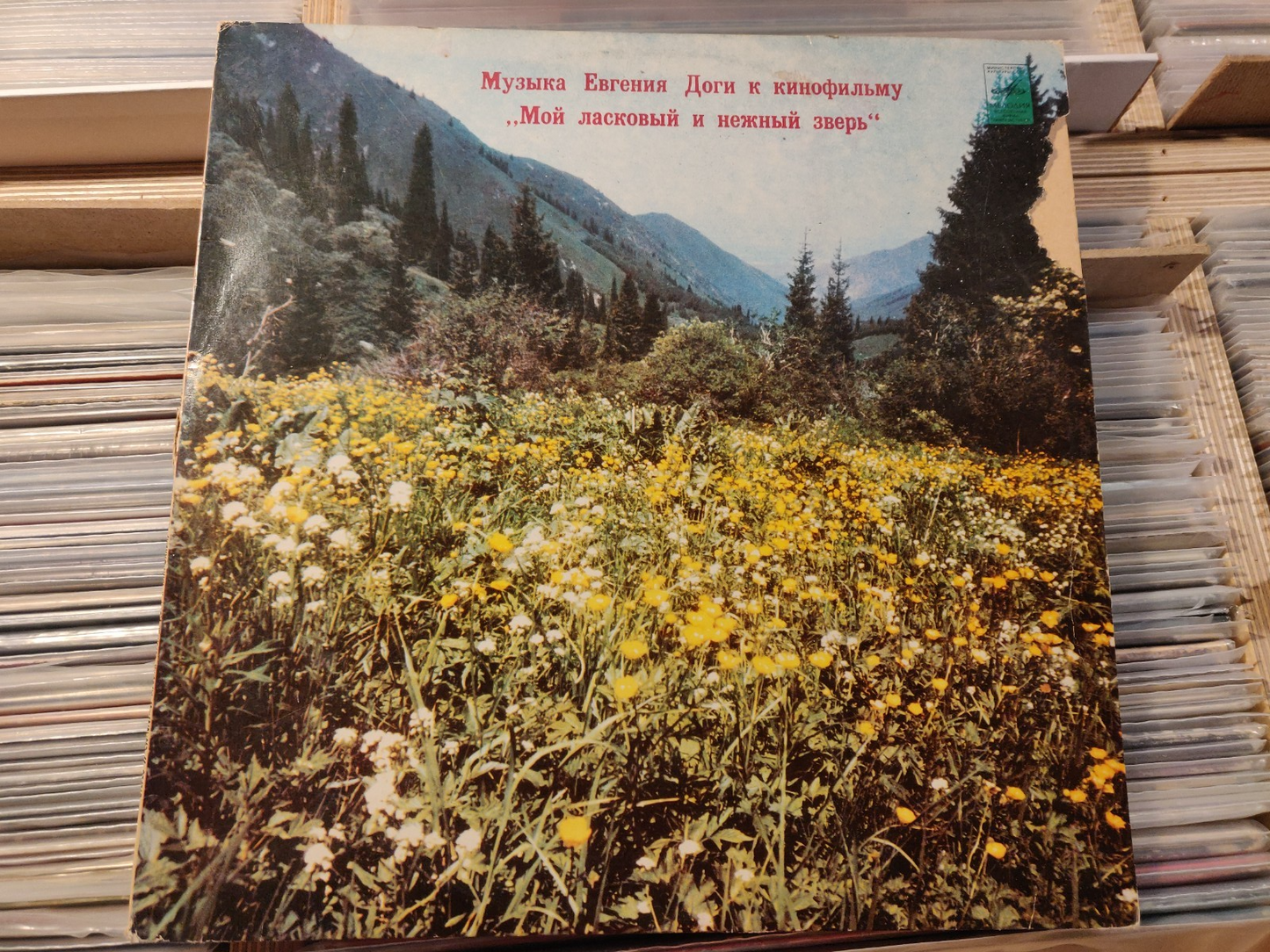 Yevgeny Doga – A Hunting Accident/ Евгений Дога Мой Ласковый И Нежный Зверь LP