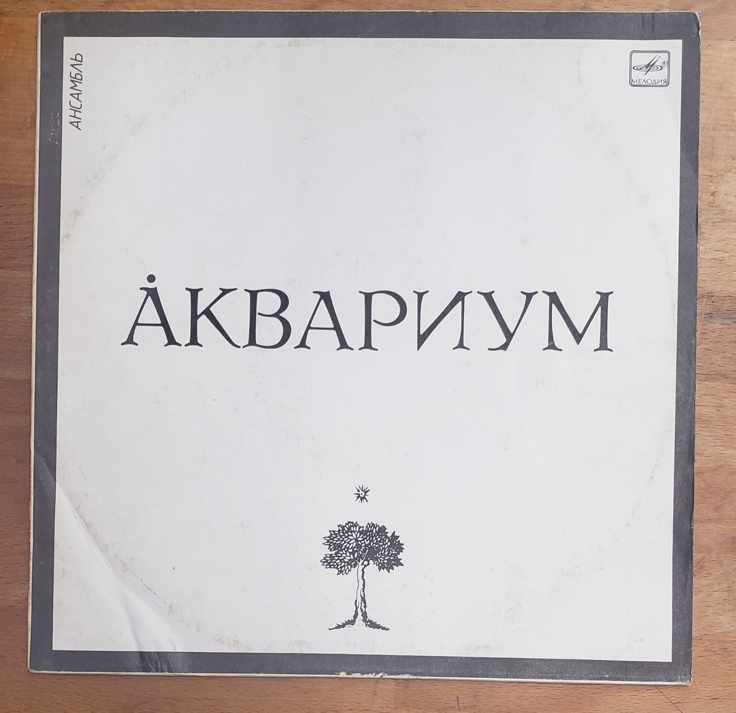 AKVARIUM AQUARIUM "White Album" LP Grebenschikov Аквариум Soviet/Russian EX