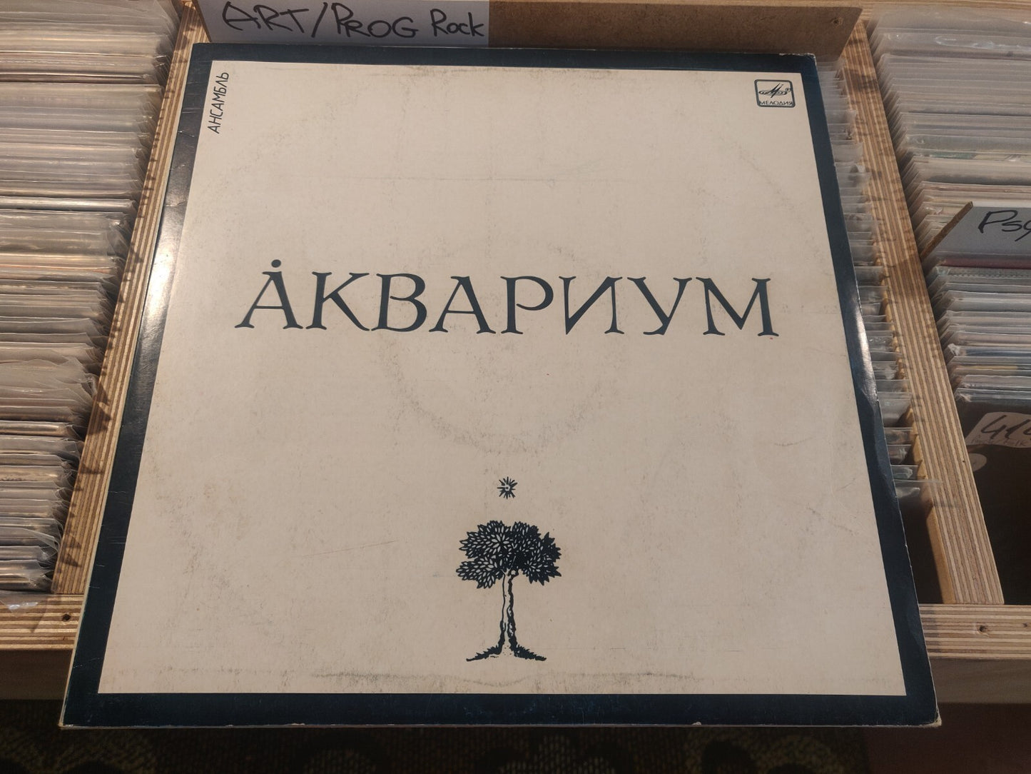 AKVARIUM AQUARIUM "White Album" LP Grebenschikov Аквариум Soviet/Russian VG