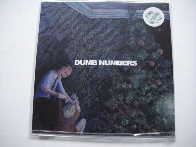 Dumb Numbers ‎– Stranger EP Joyful Noise Recordings ‎– JNR231 USA 2017