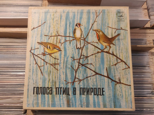 Voices of Birds in the Nature 5xLP BOX 10"